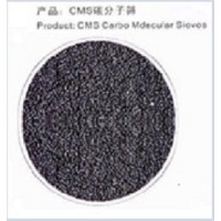 China Carbon Molecular Sieve Co, Ltd